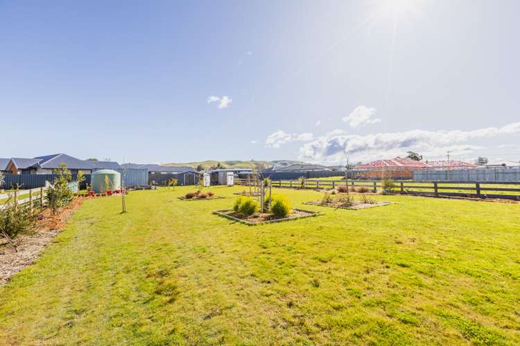 8 White Road Otane_20