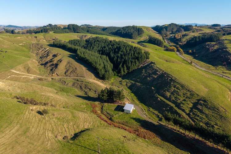 Ridge Road North Pahiatua_10