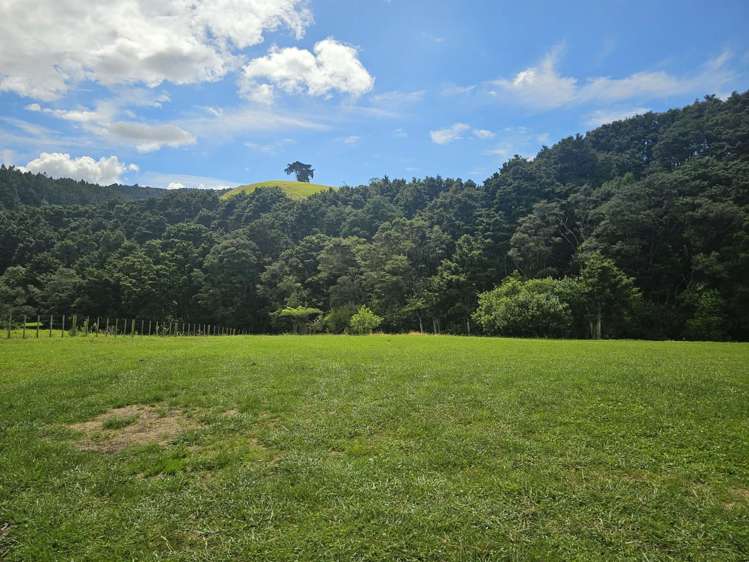 Lot Lot 2/675 Gorge Road Maungaturoto_30