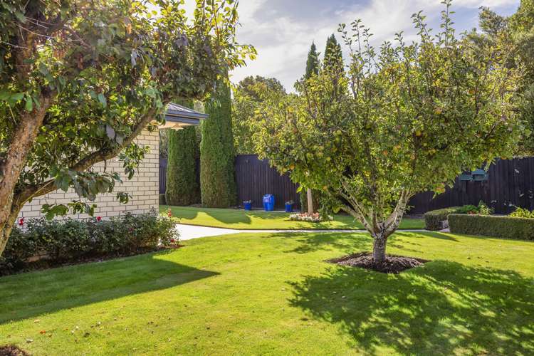 59 Springwater Avenue Northwood_4