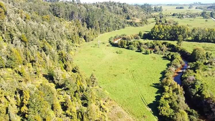 Granite Creek Road Karamea_8