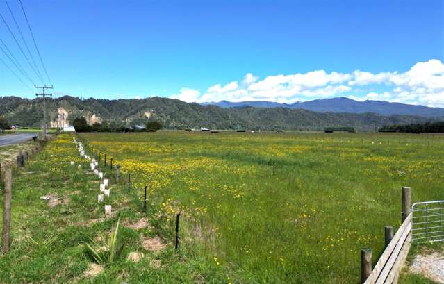 Gannon's Road Reefton_4