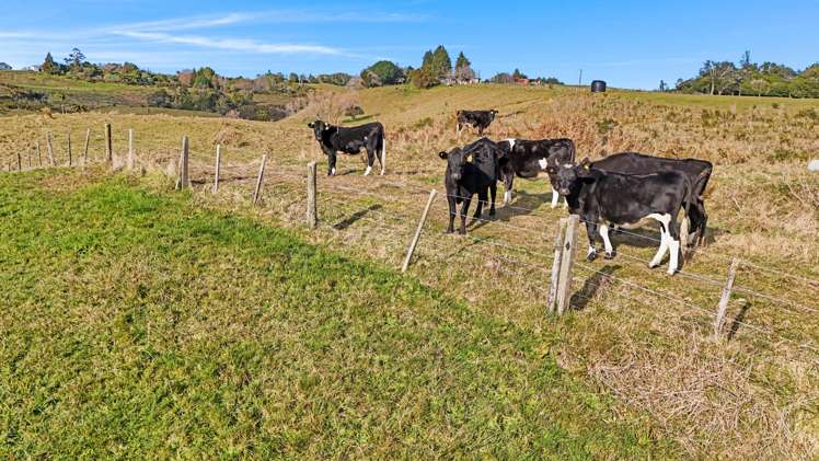 110 Ross Road and 20 Laurel Drive Whakamarama_19