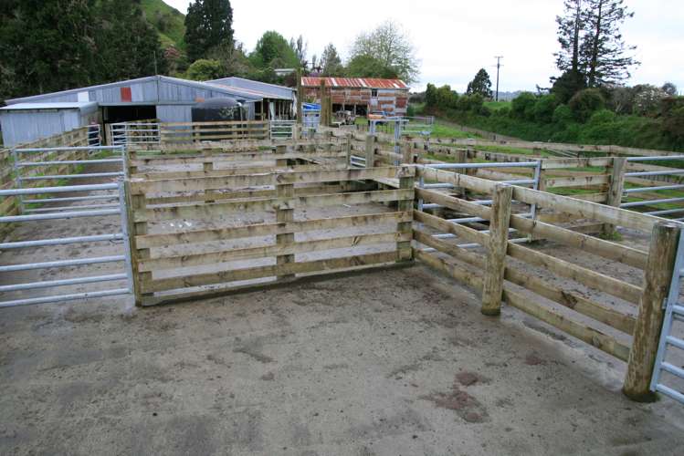 200 Tahora Road Tahora_13