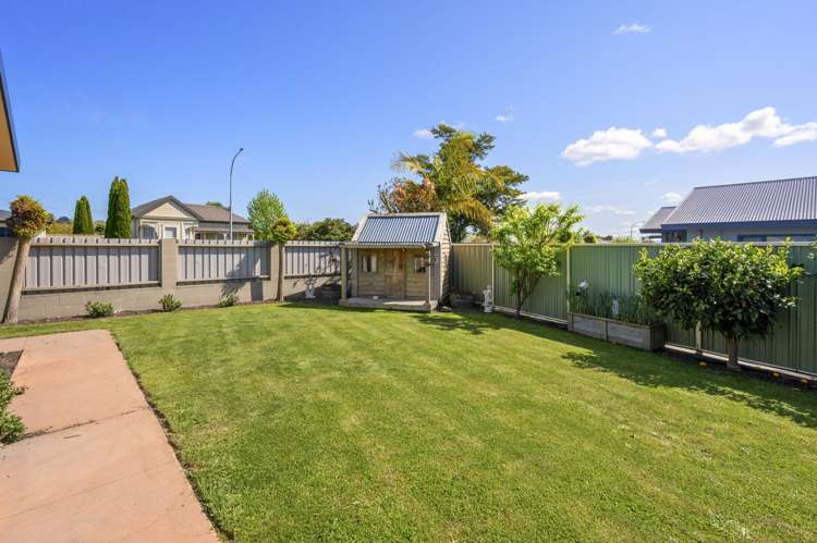 270 Guppy Road Taradale_14