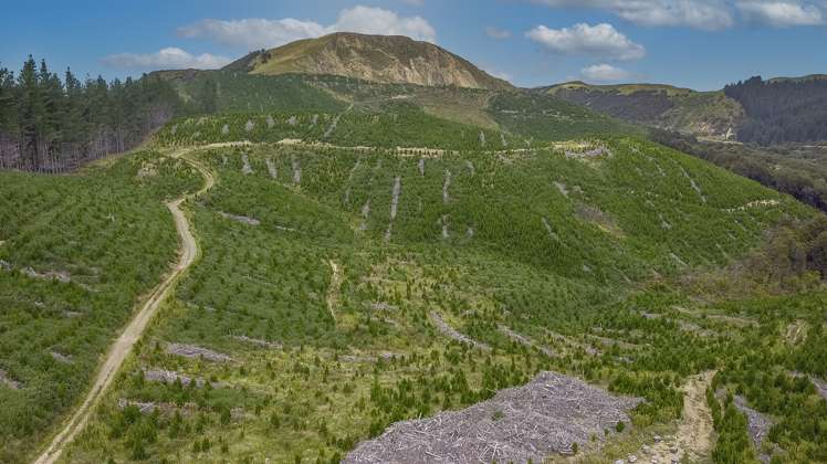 422 Glendhu Road Motunau_23