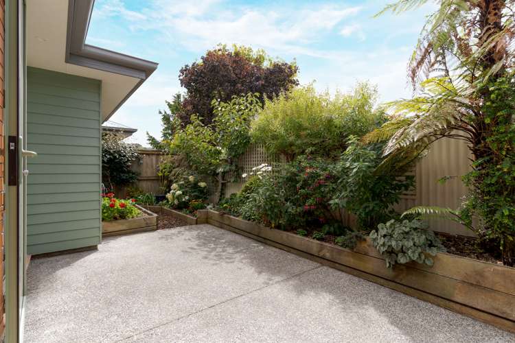 3/8 Hillsborough Terrace Hillsborough_10