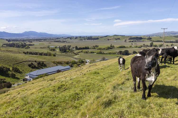 73 Kahu Way, RD2 Hawkesbury_49