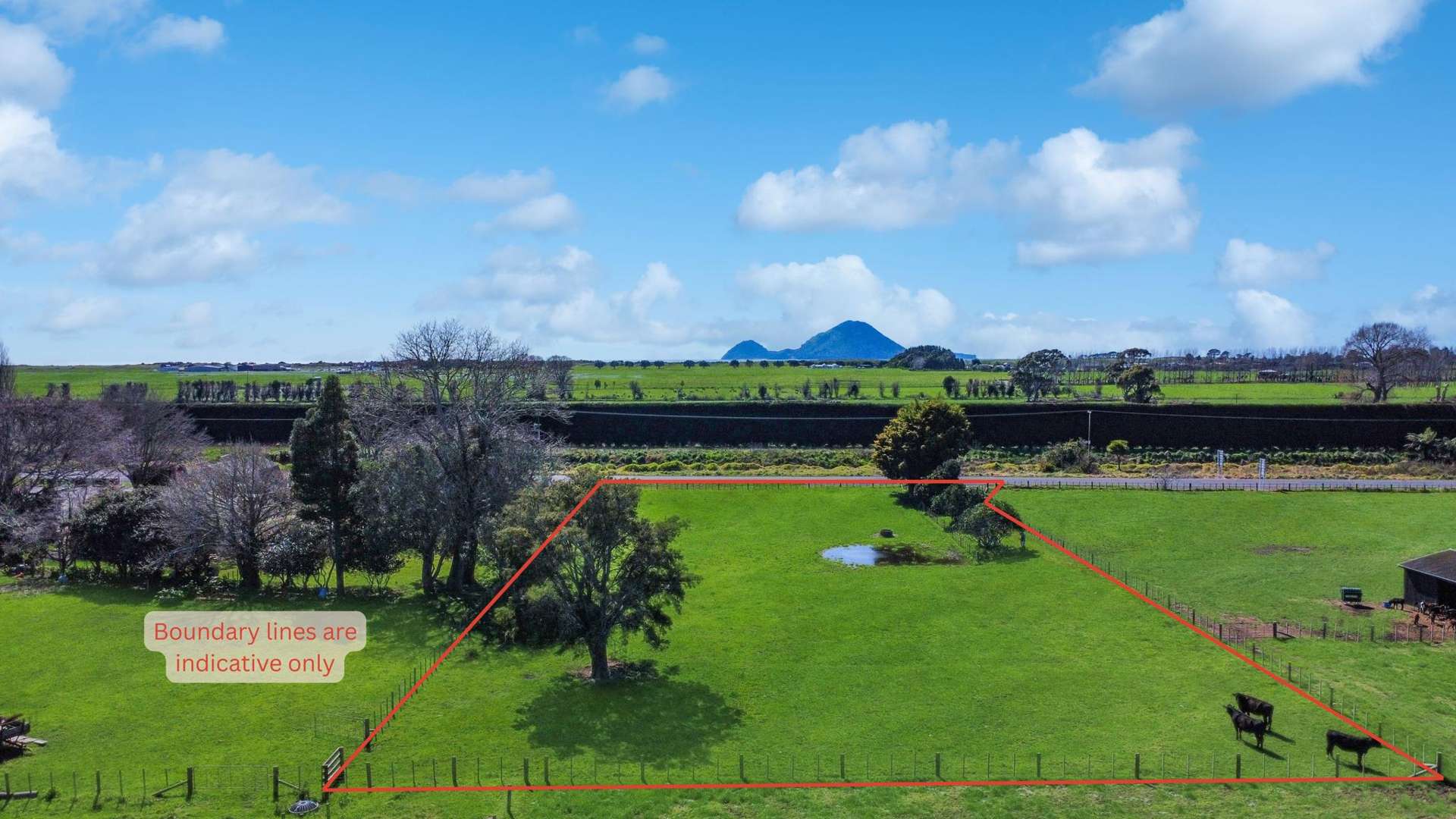 227 Thornton Road Thornton_0