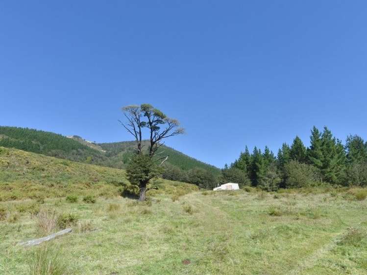 446 Glentui Bush Road Glentui_11