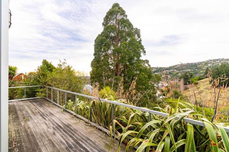 58 Holliss Avenue Cashmere_21