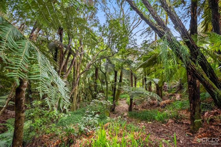 108 Wyndham Road Pinehaven_26