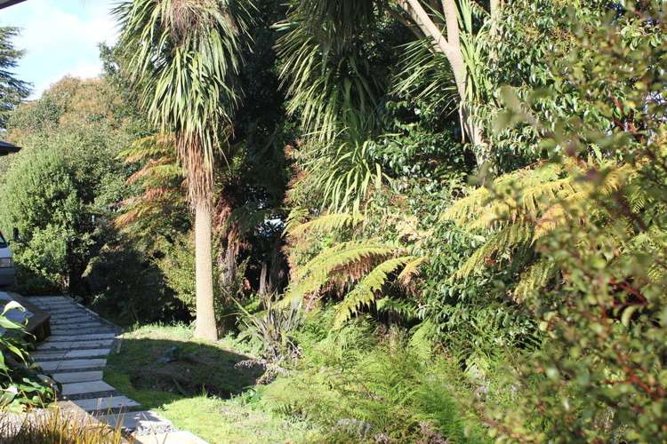 15a Gordonton Road Chartwell_25