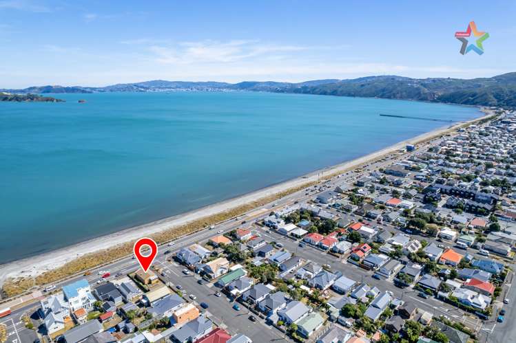 217 The Esplanade Petone_18