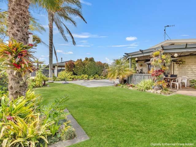 64 Auckland Road Greenmeadows_2