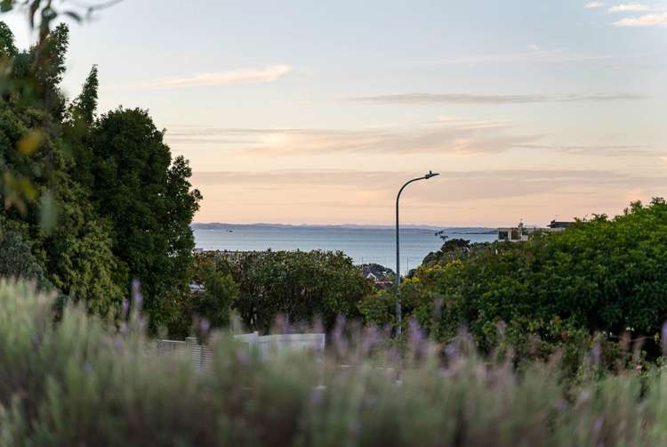 15 Edmund Street Saint Heliers_21