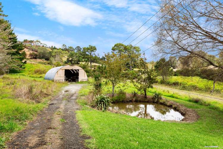 411 Pine Valley Road Dairy Flat_9