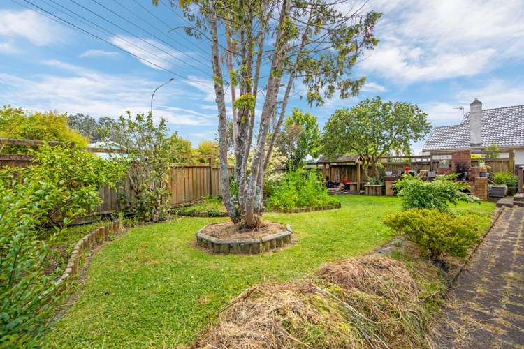 56 Fruitvale Road New Lynn_3