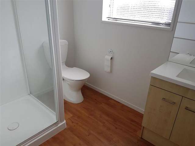 74e Elizabeth Street Riccarton_4