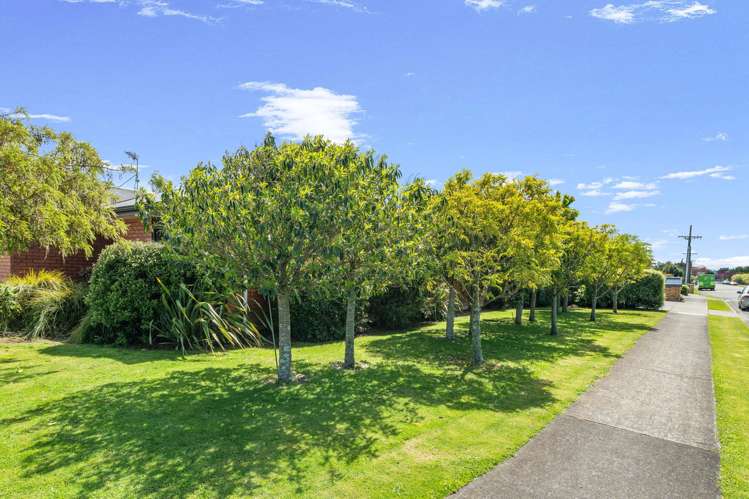 40 Sussex Street Masterton_15