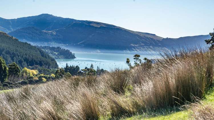 168-240 Purau Port Levy Road_2