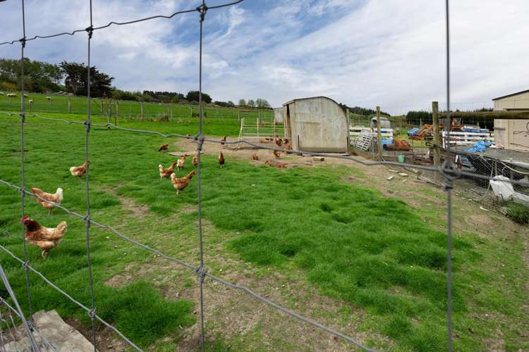 78 East Road Ascot_26