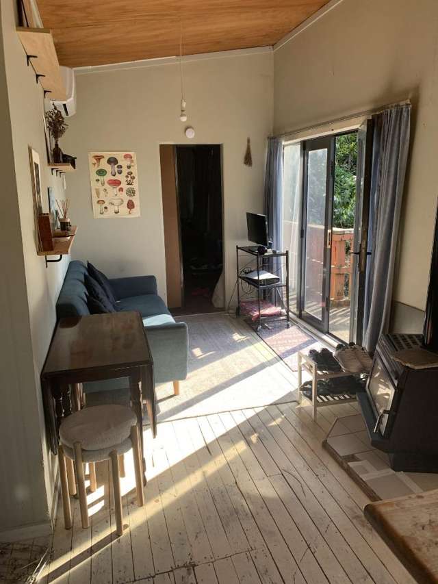 45 Takahe Road Titirangi_2