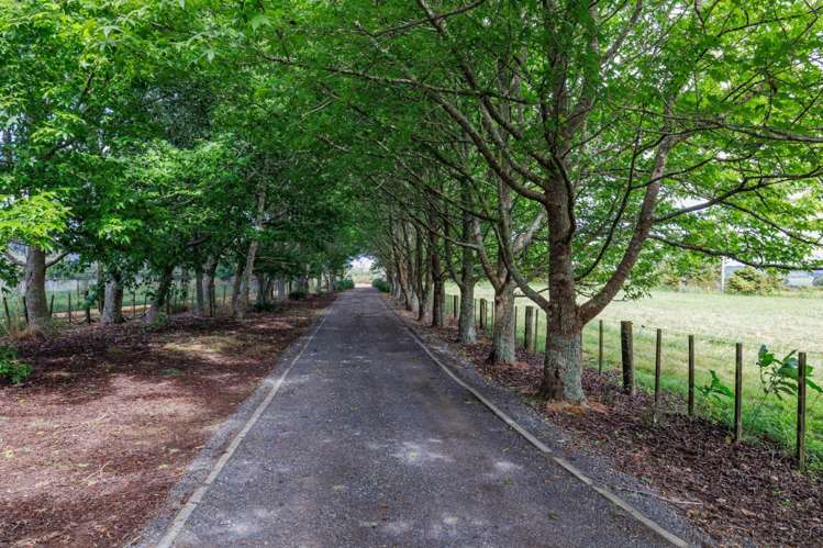 408 Waimate North Road Kerikeri_36