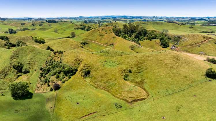 162 Standish Road Toko_0