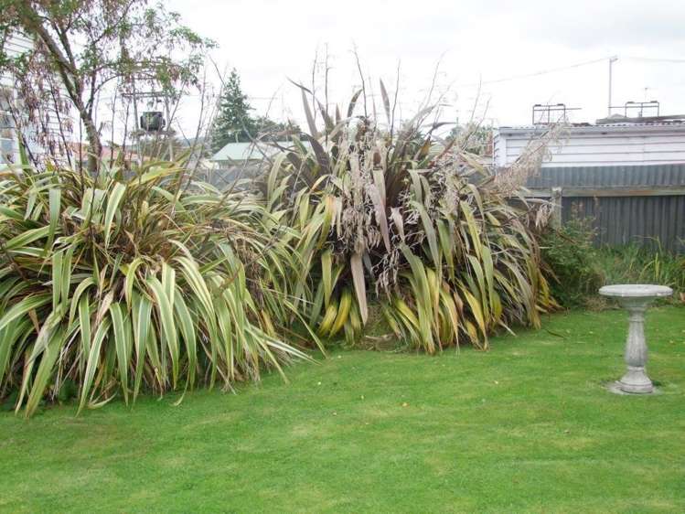 29 Centennial Avenue Milton_10