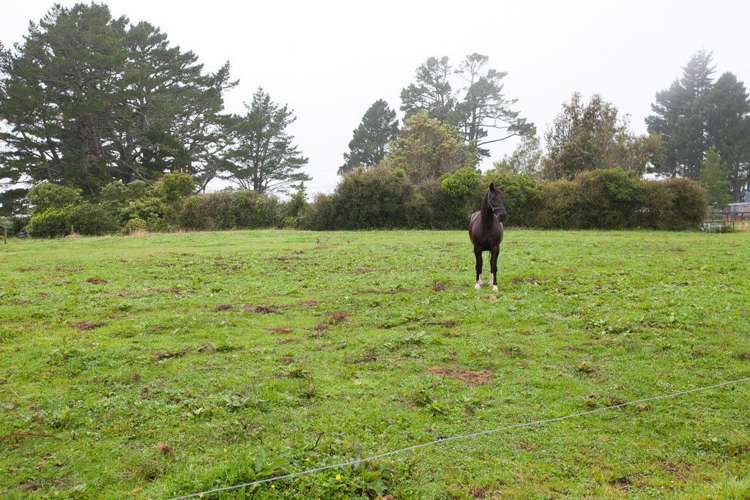 264 Ackworth Road Lepperton_6