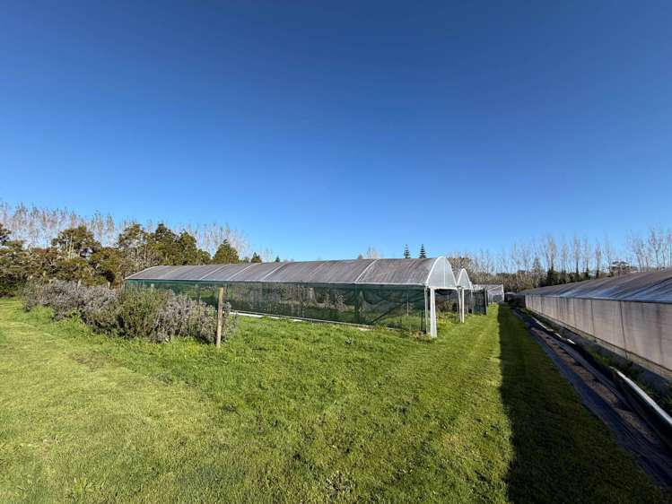 18 Brigham Creek Road Whenuapai_1