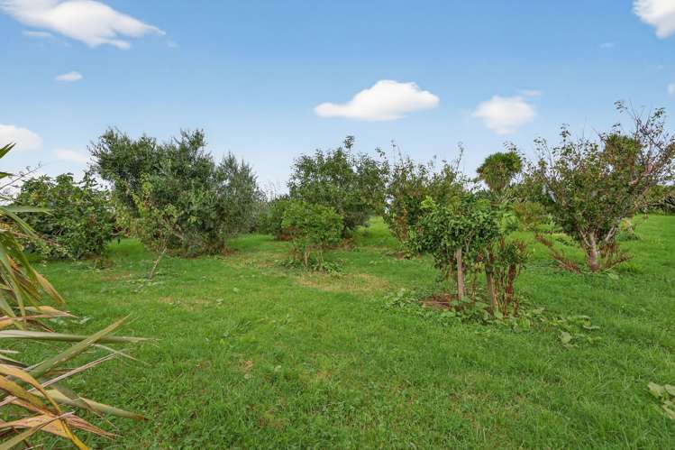 89 Brown Road Kaiwaka_13