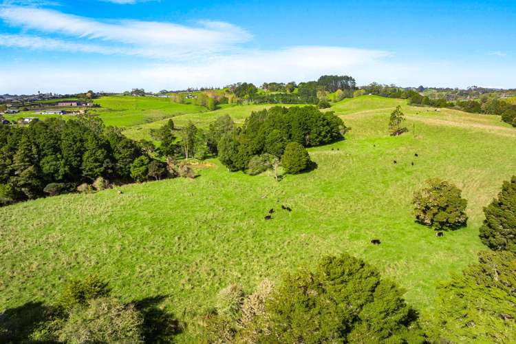 127 Woodcocks Road Warkworth_6