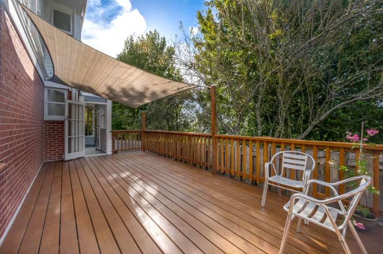 16 Belfast Street Hillsborough_24