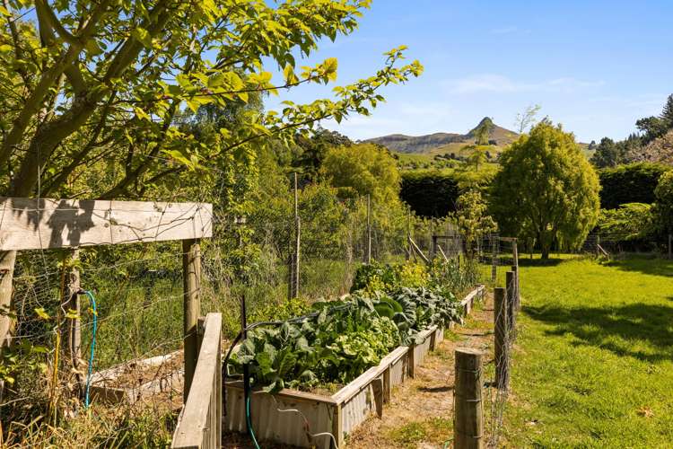 893 Purau Port Levy Road Port Levy_25