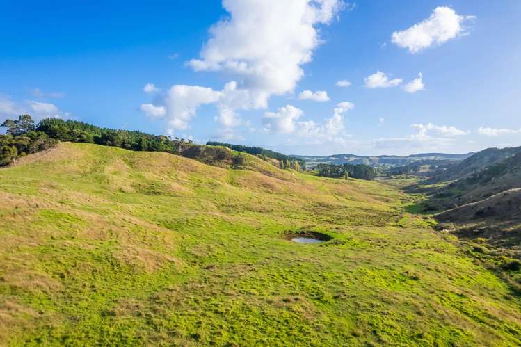 Kawhia Road (SH 31) Kawhia_15