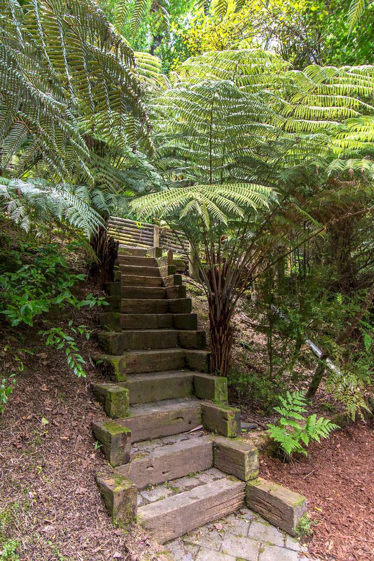 19 Tanglewood Place Cockle Bay_30