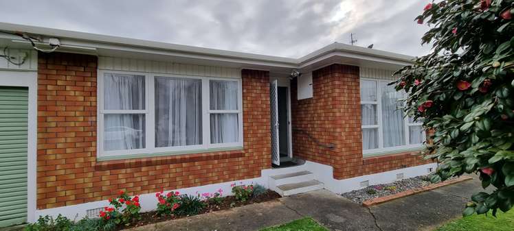 4 Rata Street Levin_21