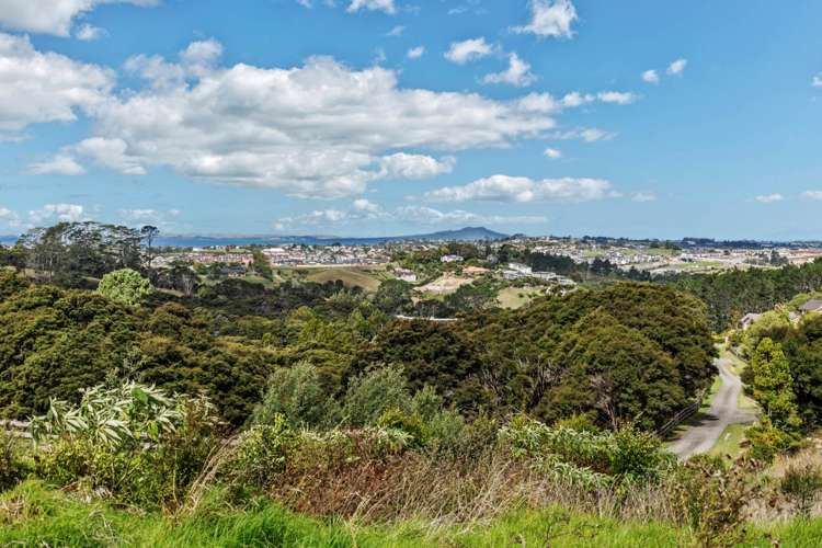 251 Lonely Track Road Albany Heights_13