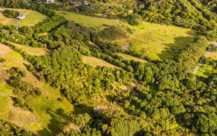 20 Constable Road Muriwai_25