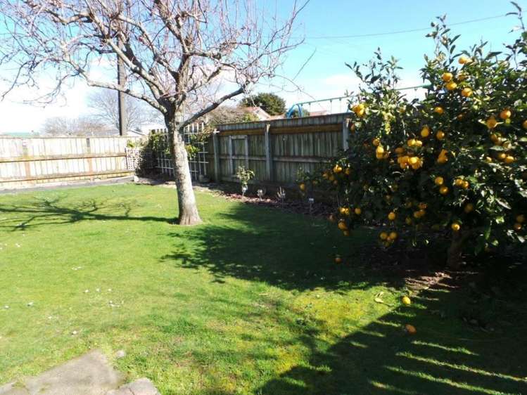 15a Stuckey Street Levin_8