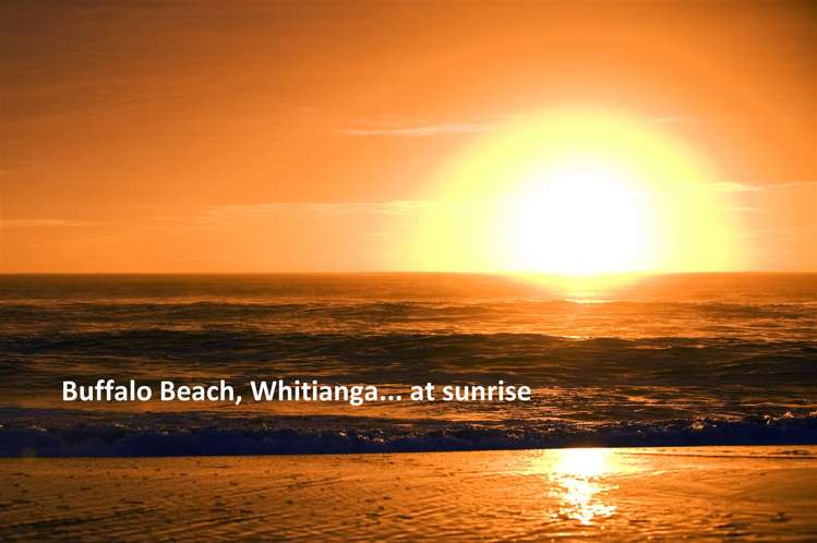 8b Cooks Lkt Whitianga_13