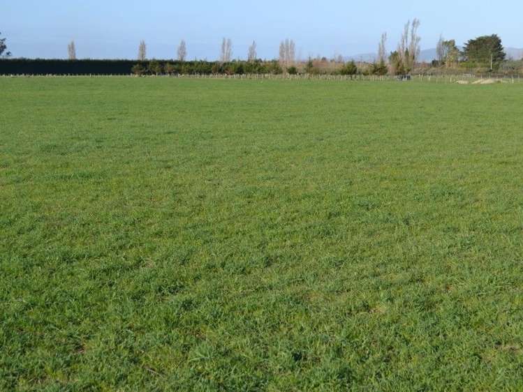 304 Springston Rolleston Road Rolleston_15