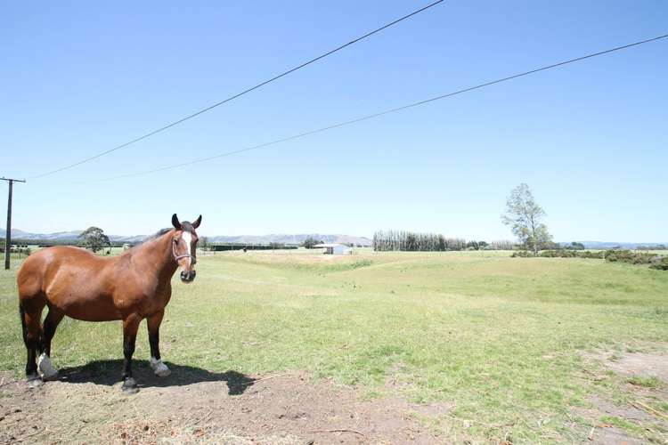 375 Huntly Road Outram_19