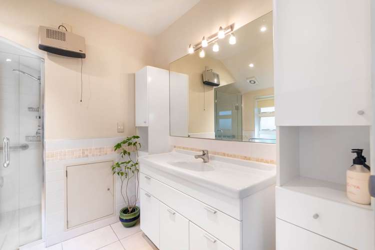 65 Frederick Street Hillsborough_17