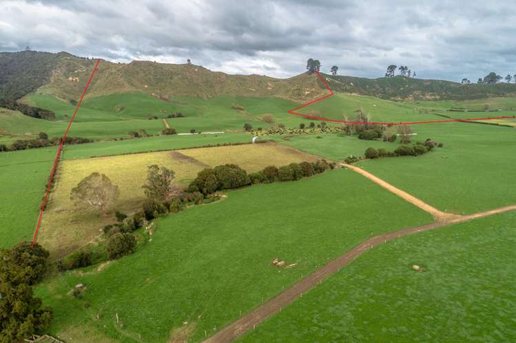 107 Le Heron Road Te Hoe_11