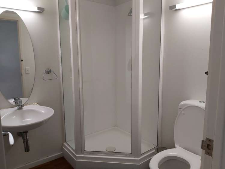 11 Durham Street East 10015_6