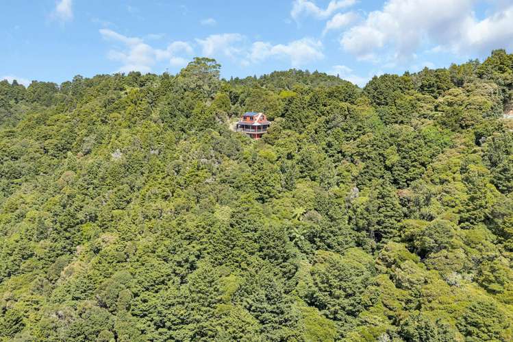 697 Mt Tiger Road Whareora_30