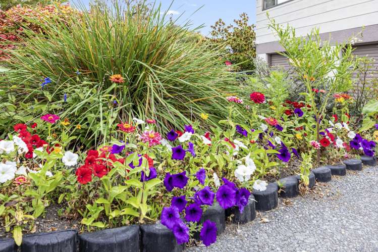 81 Dunbarton Street Redwood_27